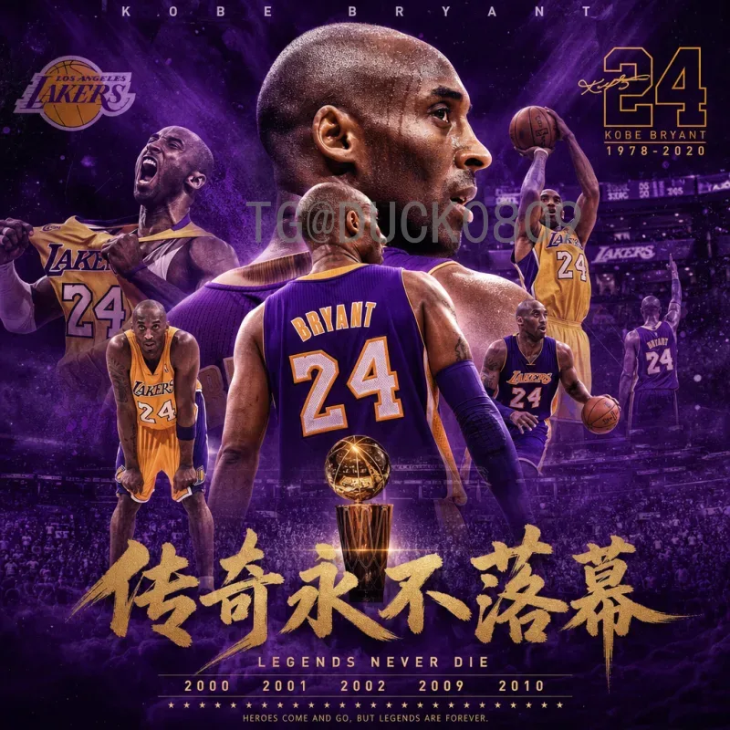 完整2026美加墨世界杯球员名单赛程前瞻分析